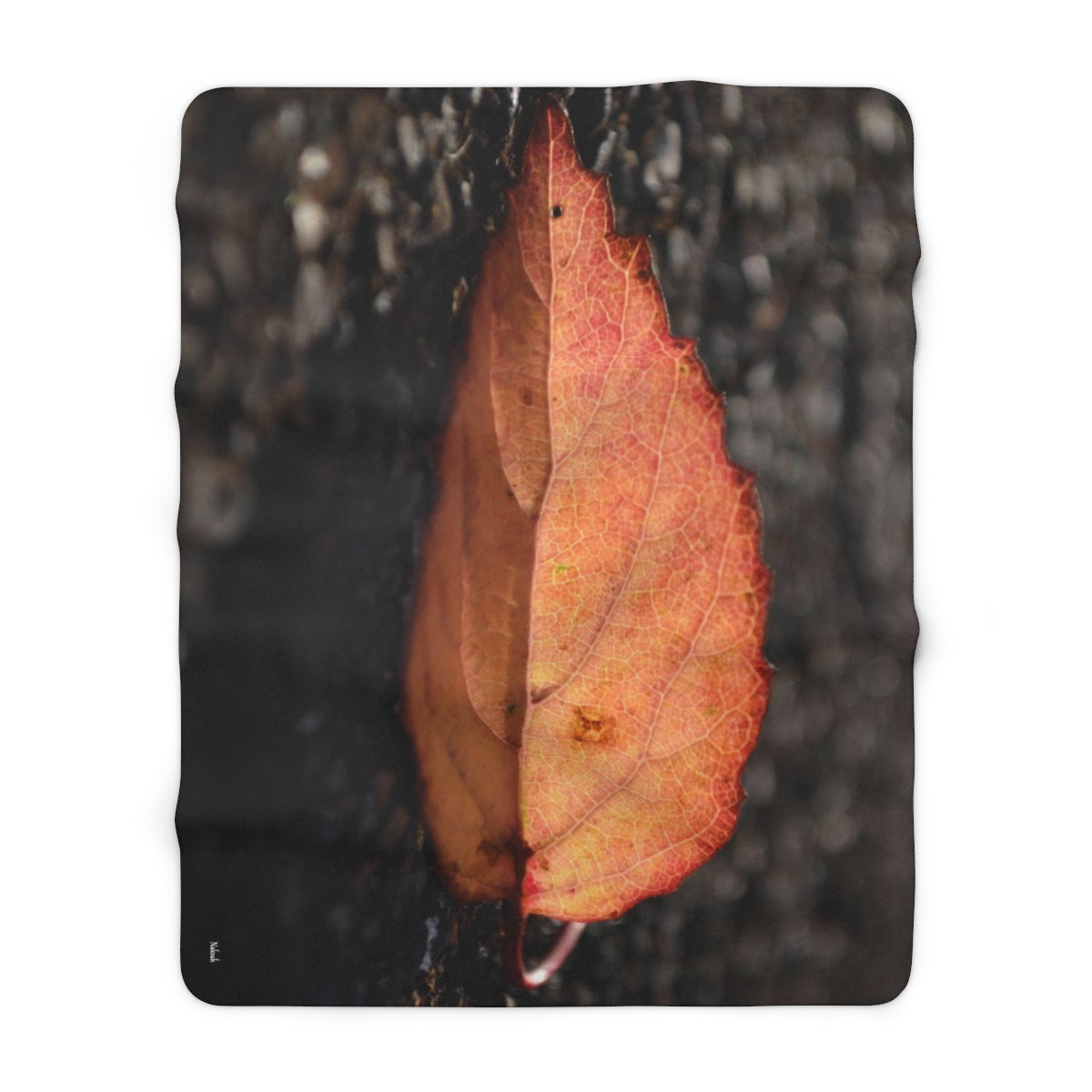 Sun Catcher Sherpa Fleece Blanket