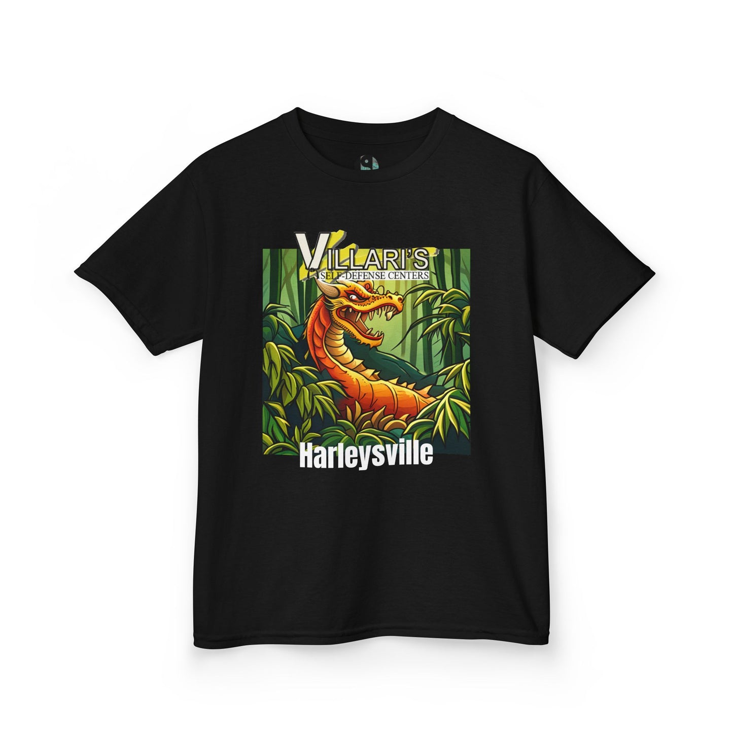 Youth: Dragon Villari's Harleysville Tee