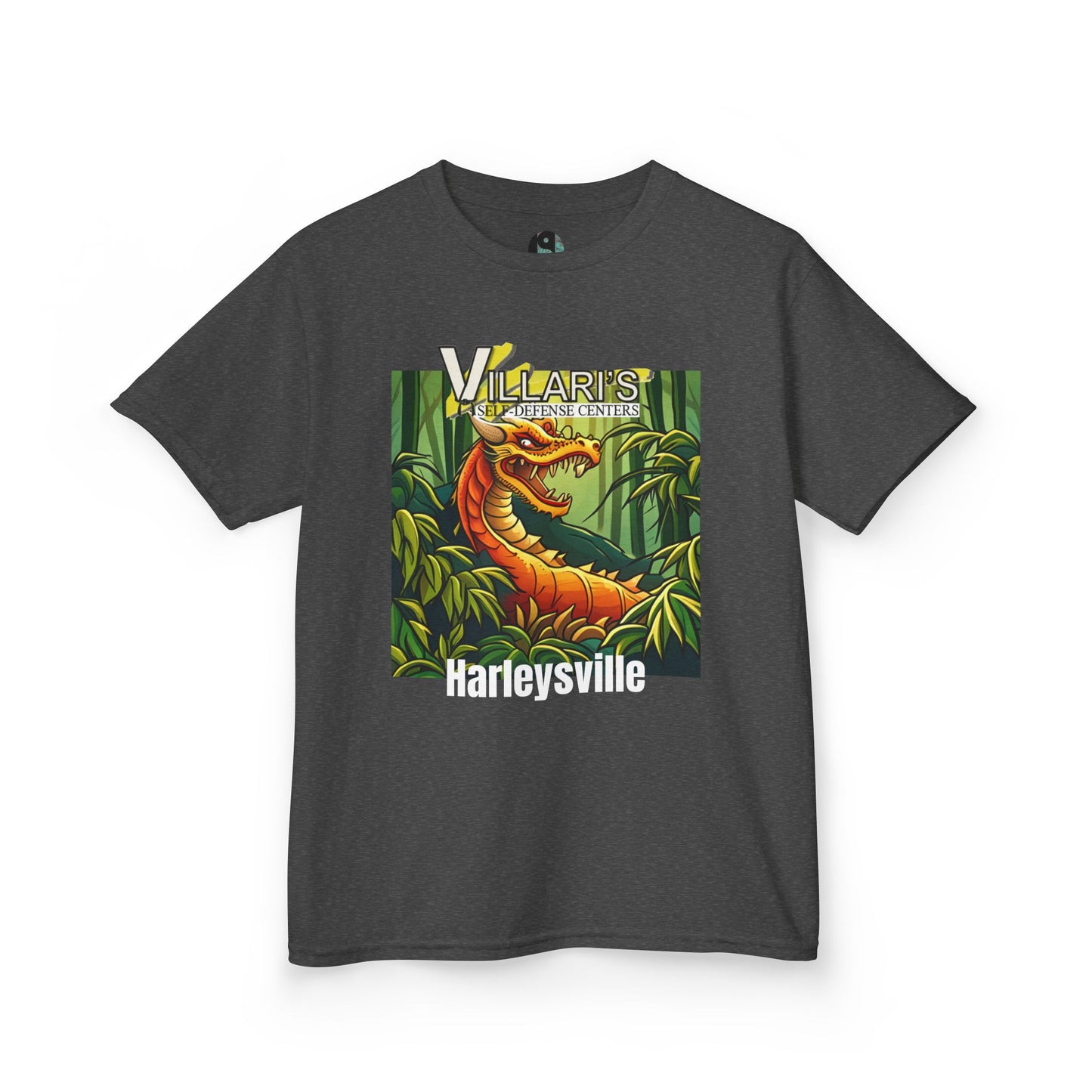 Youth: Dragon Villari's Harleysville Tee