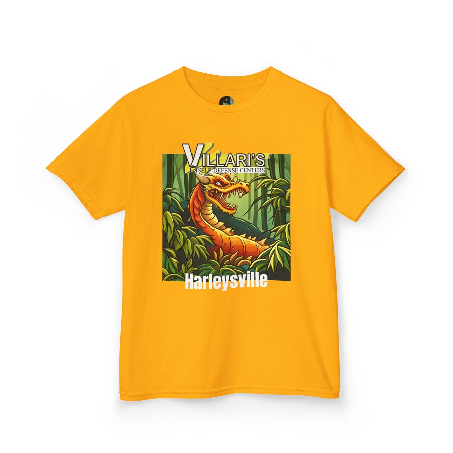 Youth: Dragon Villari's Harleysville Tee