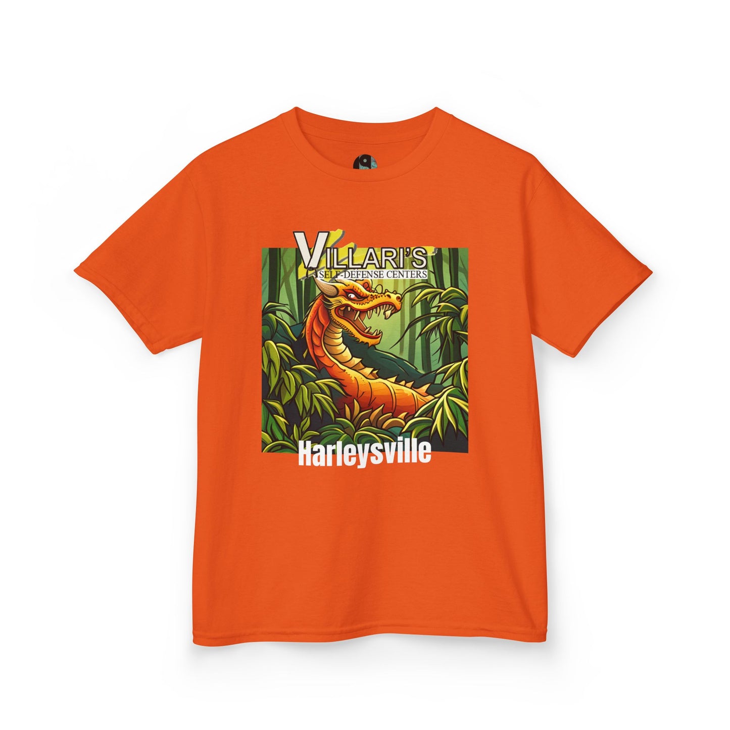 Youth: Dragon Villari's Harleysville Tee