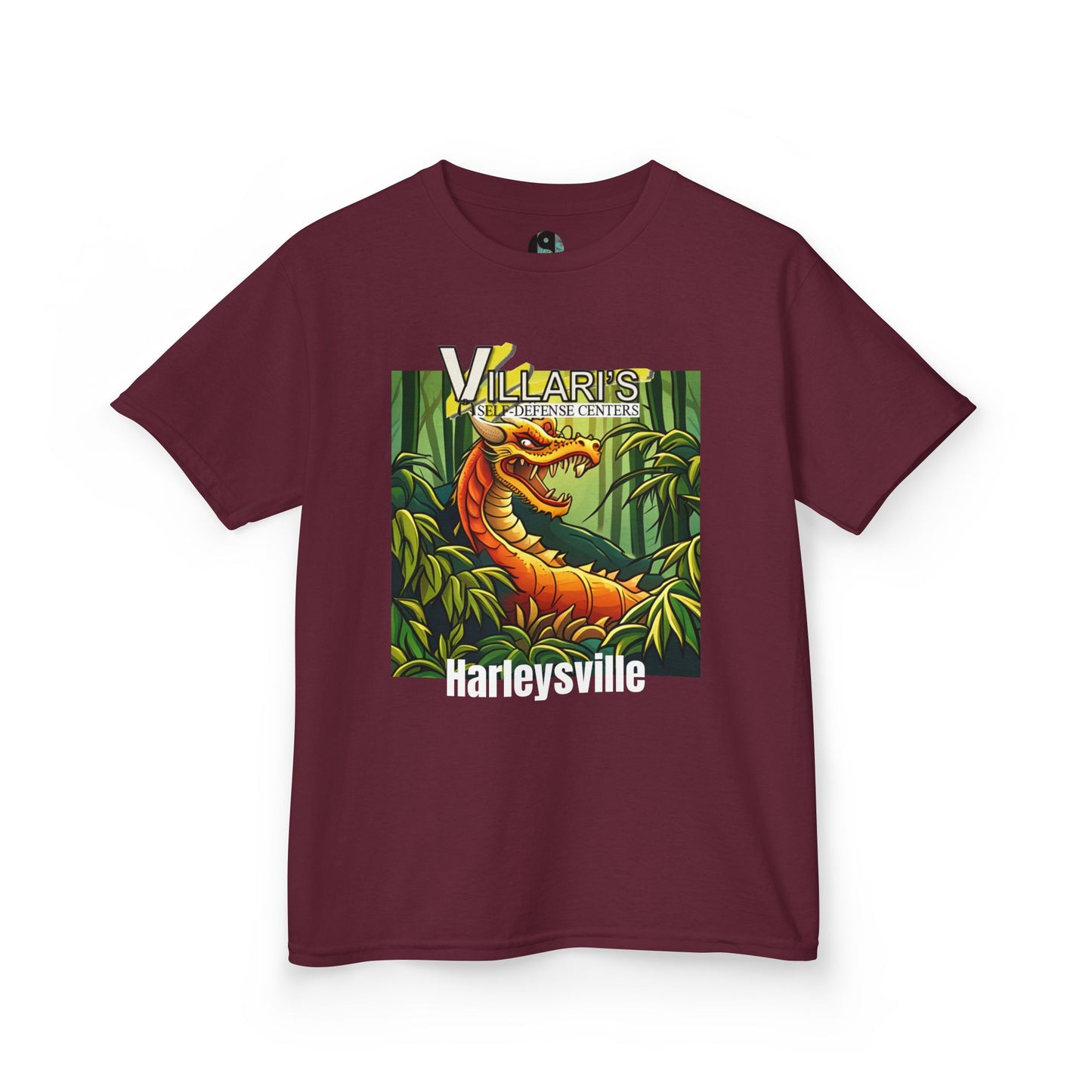 Youth: Dragon Villari's Harleysville Tee