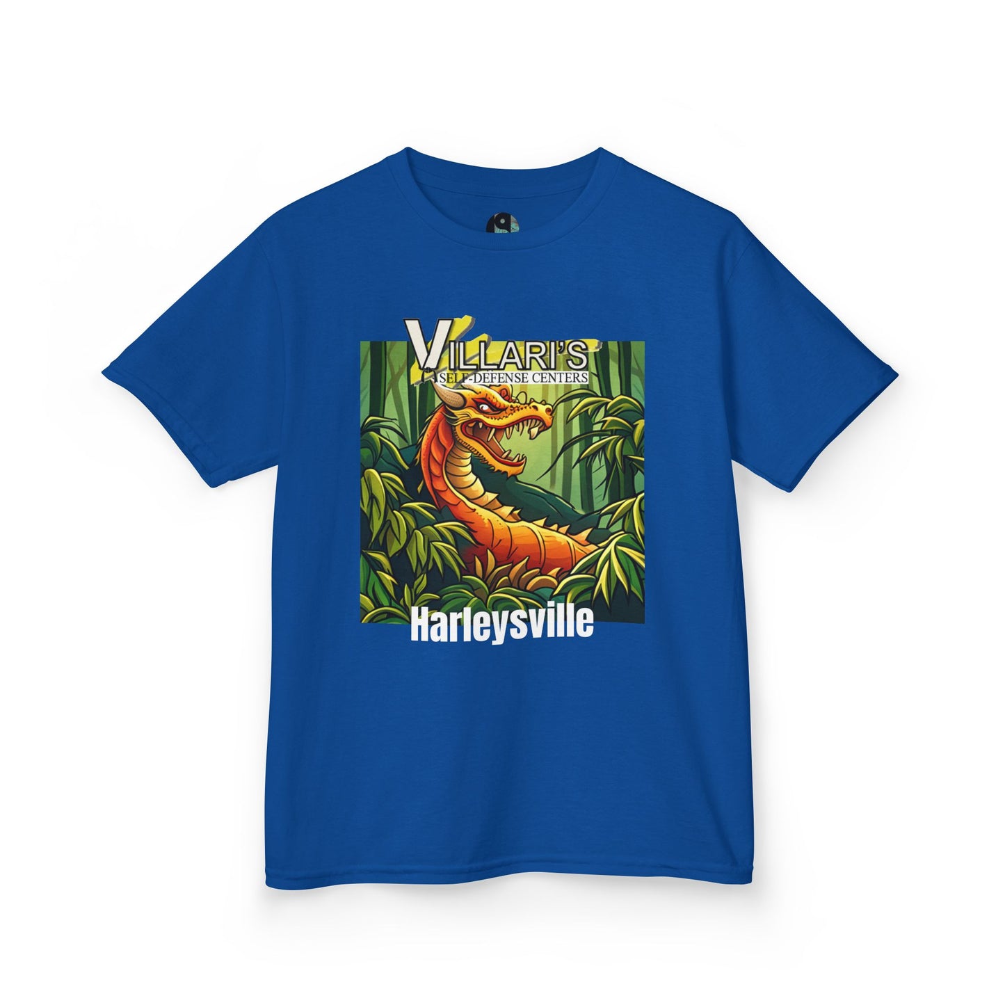 Youth: Dragon Villari's Harleysville Tee