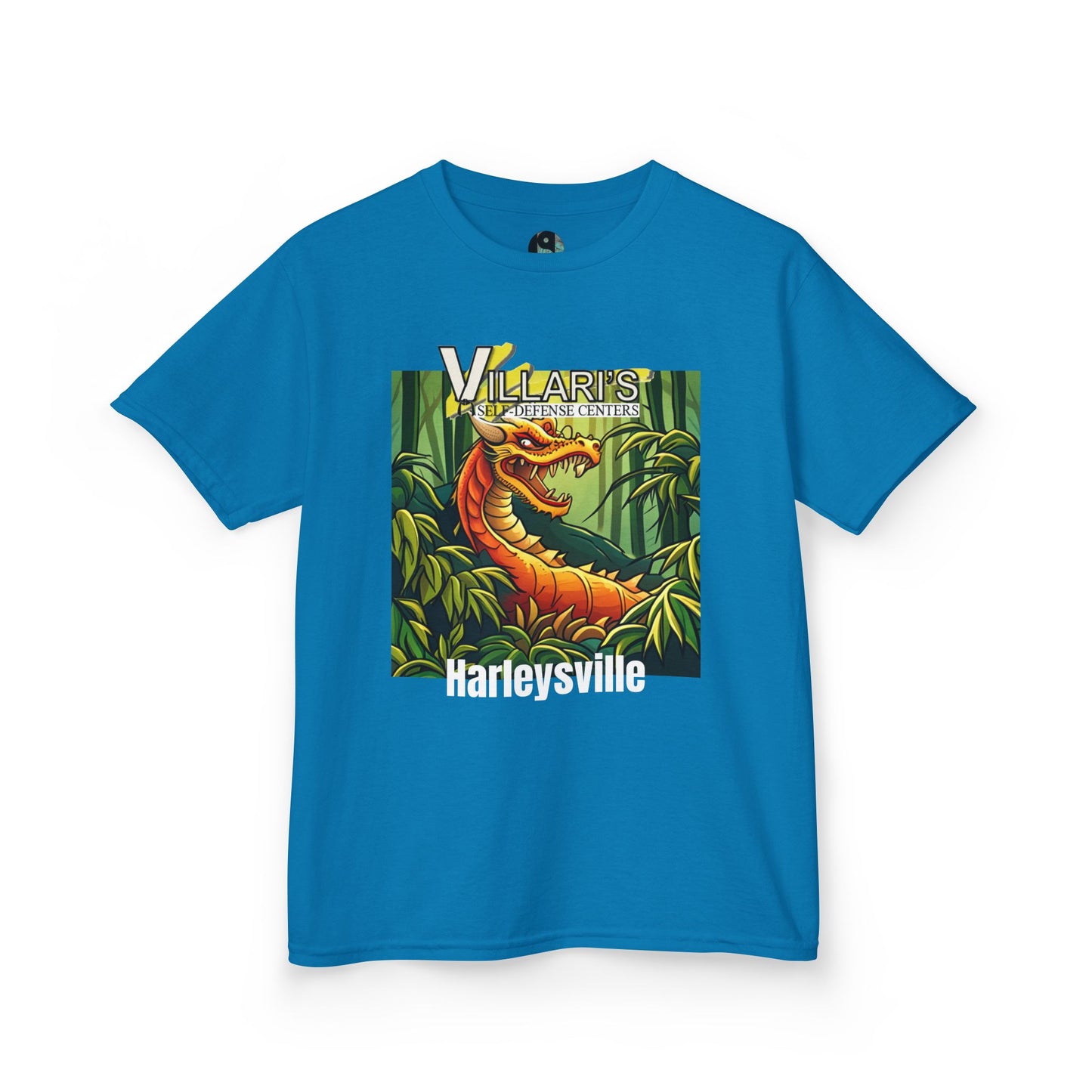 Youth: Dragon Villari's Harleysville Tee