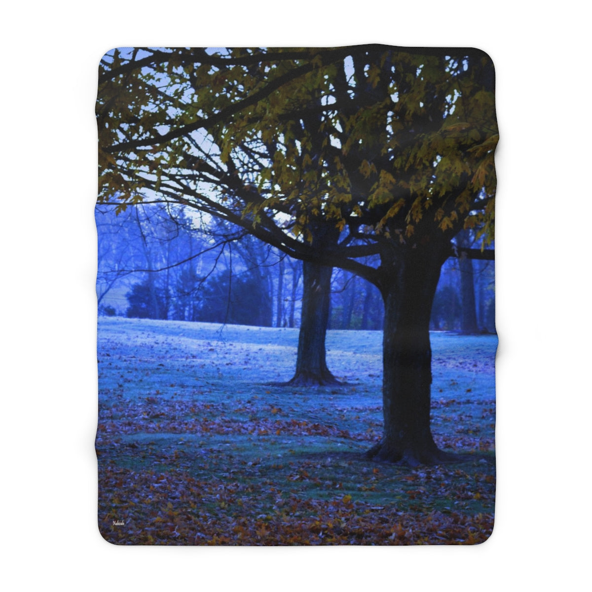 Cool Fall Sherpa Fleece Blanket